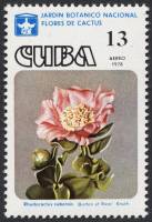 (1978-030) Сцепка (2 м) Куба "Переския"    Кактусы III Θ
